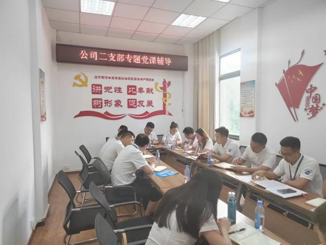 公司二支部開展“齊力共進(jìn)、強(qiáng)企有我” 主題黨日活動