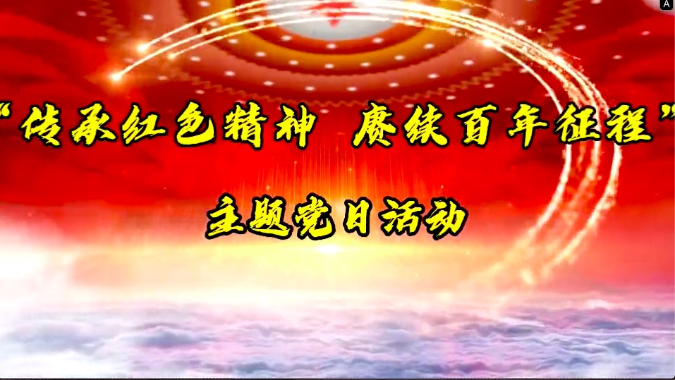 傳承紅色精神，賡續(xù)百年征程-共產(chǎn)黨員服務(wù)大隊(duì)主題黨日活動(dòng)